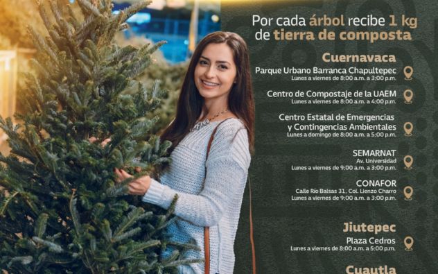 Recicla árbol de Navidad