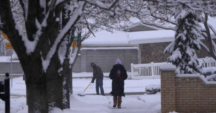 nieve