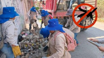 dengue en Cuautla