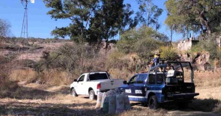 Privan de la vida a madre buscadora en Zacatecas