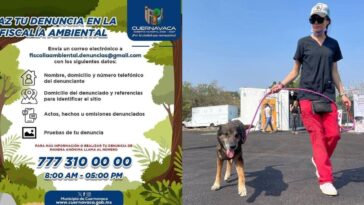 fiscalia ambiental